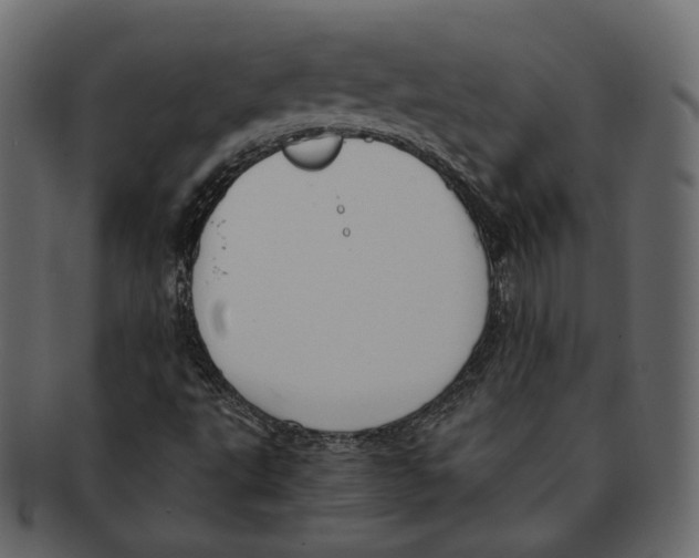 X0000091931495200710031049