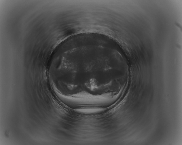 X0000091931497200710031049