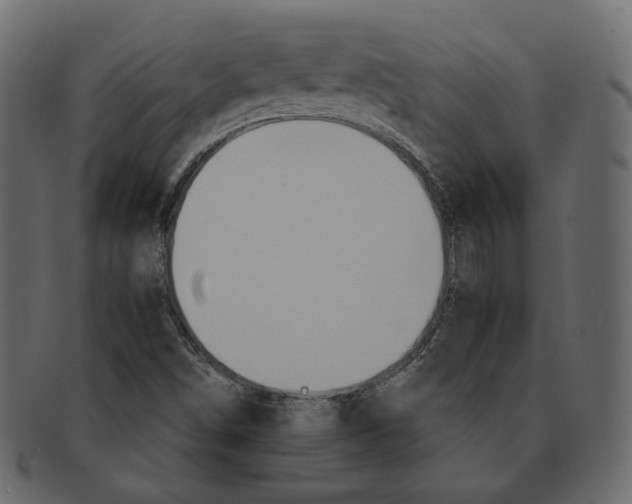 X0000091931498200710031049