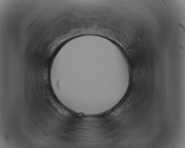 X0000091931499200710031049