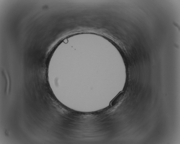 X0000091931502200710031049