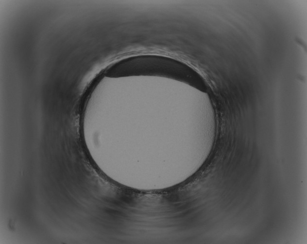 X0000091931503200710031049