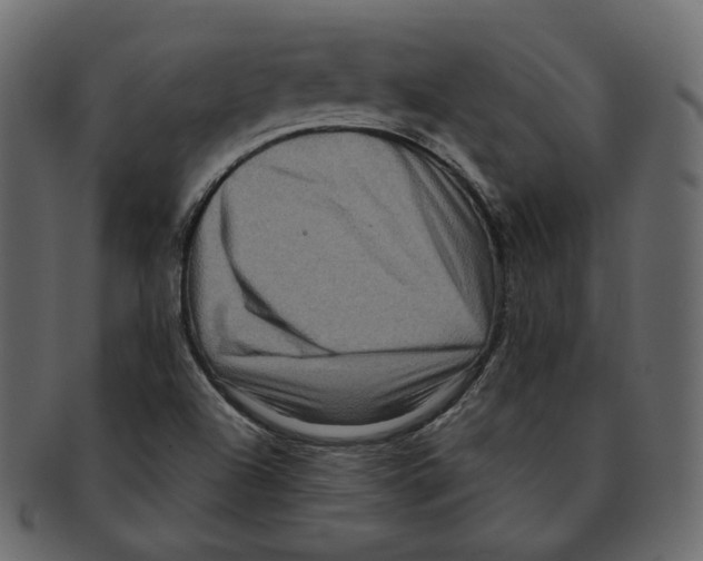 X0000091931504200710031049