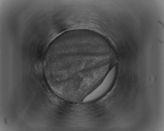 X0000091931505200710031049