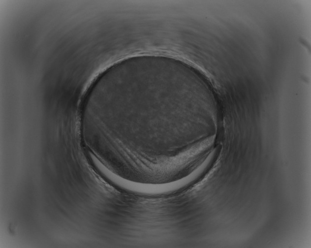 X0000091931506200710031049