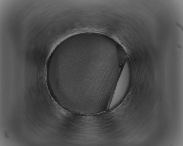 X0000091931508200710031049