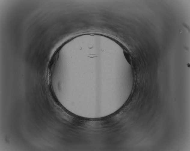 X0000091931510200710031049