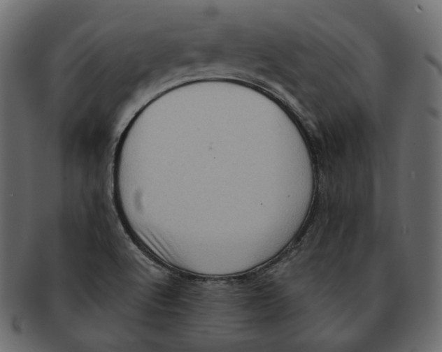 X0000091931512200710031049