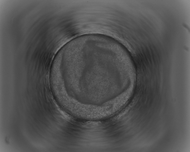 X0000091931513200710031049