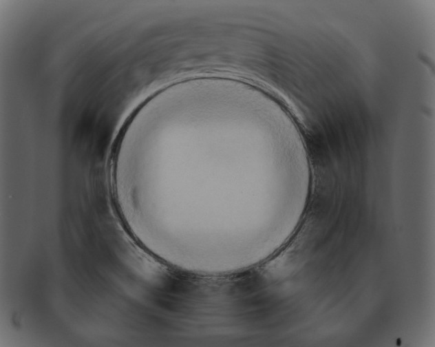 X0000091931514200710031049