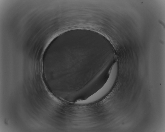 X0000091931515200710031049