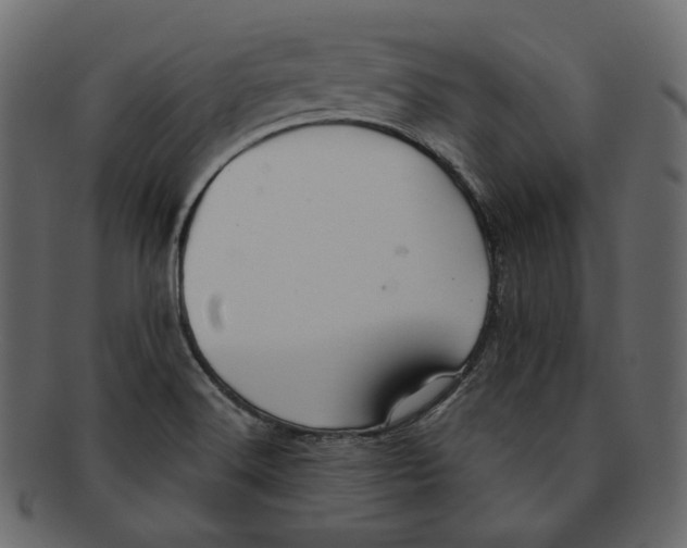 X0000091931516200710031049