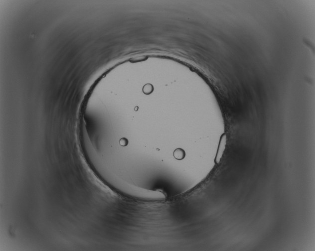 X0000091931518200710031049