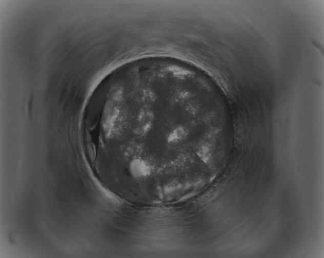 X0000091931519200710031049