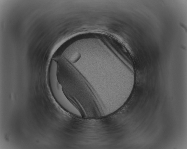 X0000091931520200710031049