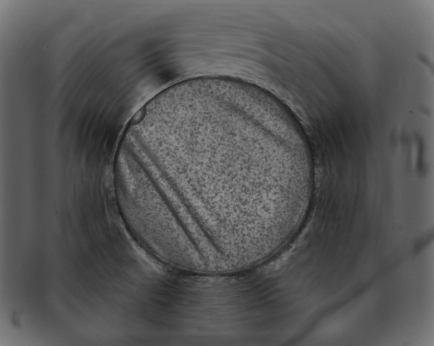 X0000091931521200710031049