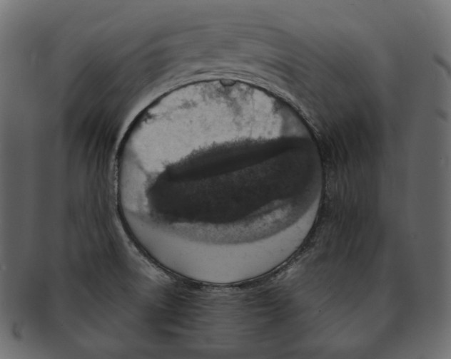 X0000091931522200710031049