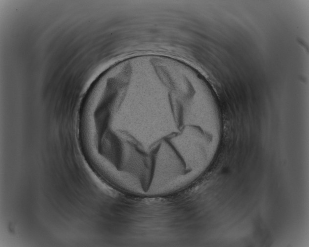 X0000091931523200710031049