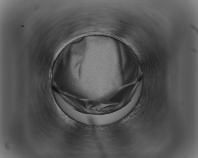 X0000091931524200710031049