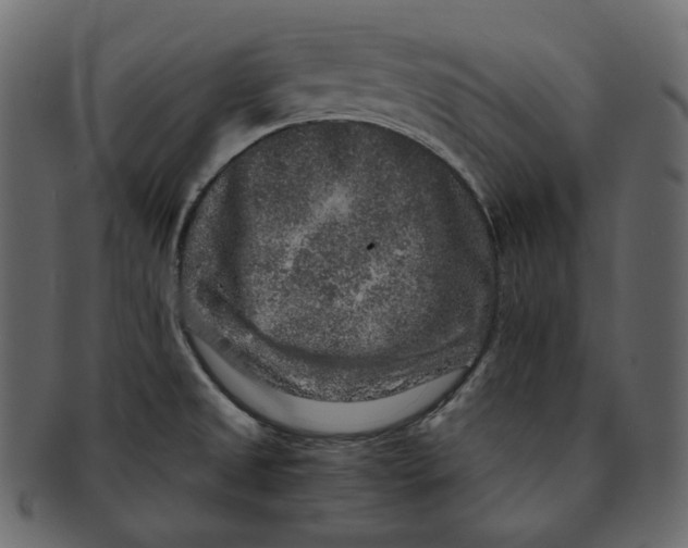 X0000091931525200710031049