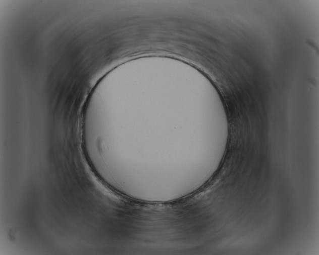 X0000091931526200710031049