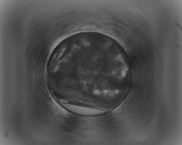 X0000091931527200710031049