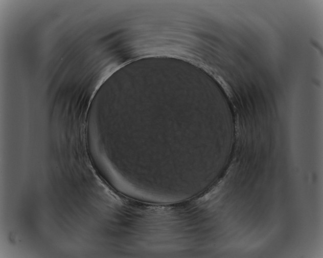 X0000091931529200710031049