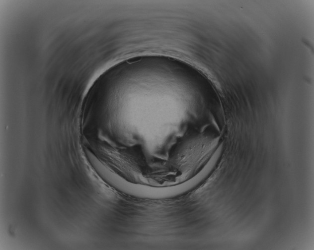 X0000091931530200710031049