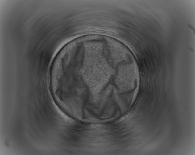 X0000091931531200710031049