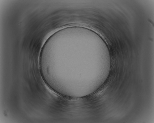 X0000091931535200710031049