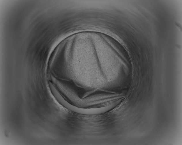 X0000091931536200710031049