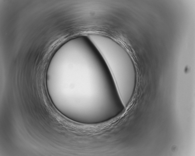 X0000091940001200709051312