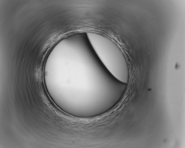 X0000091940002200709051312