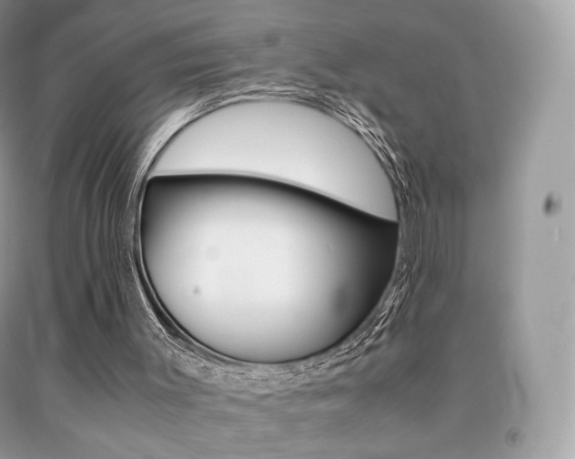 X0000091940003200709051312