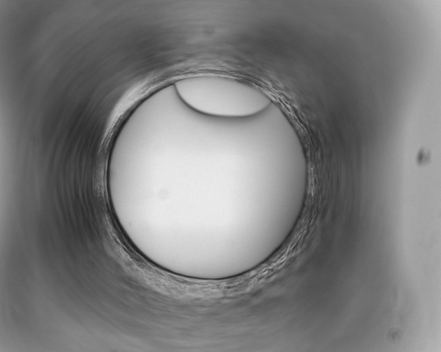 X0000091940004200709051312