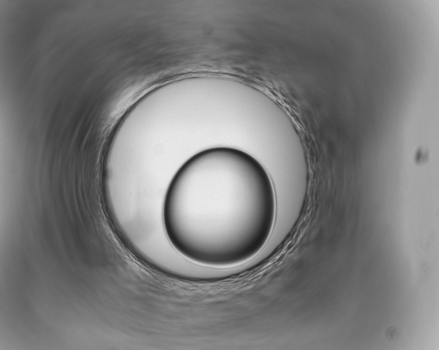 X0000091940005200709051312