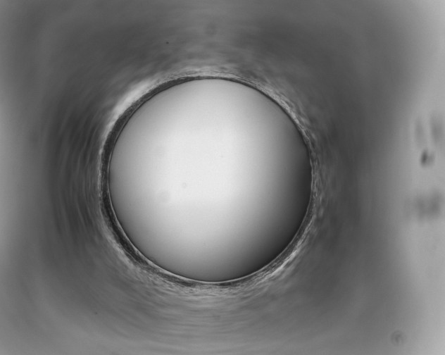 X0000091940008200709051312