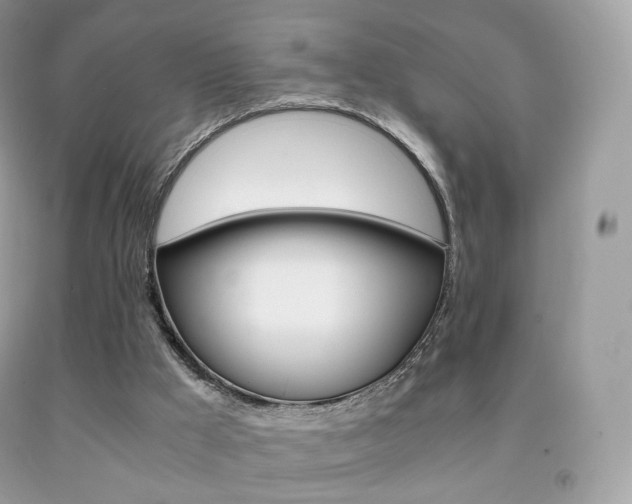 X0000091940009200709051312