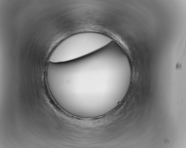 X0000091940010200709051312