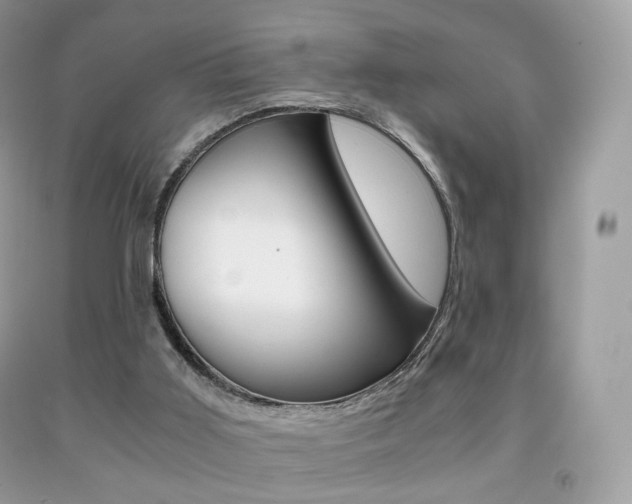 X0000091940011200709051312