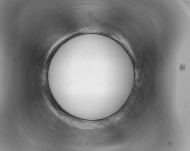 X0000091940012200709051312