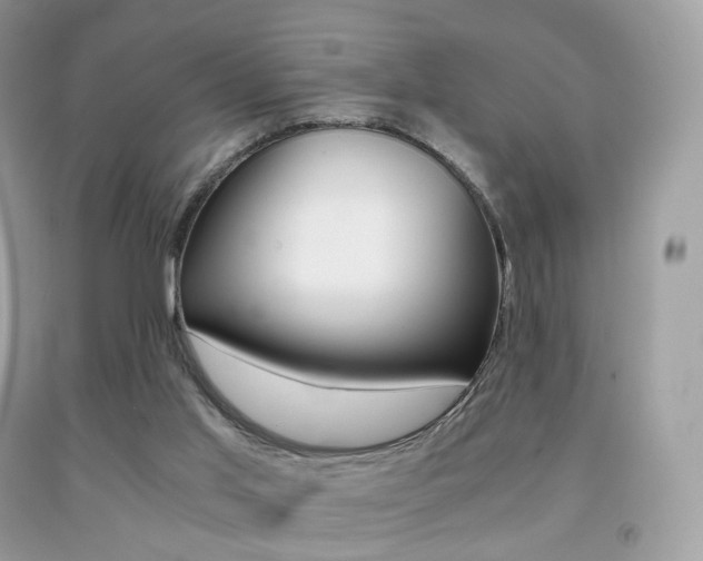 X0000091940013200709051312