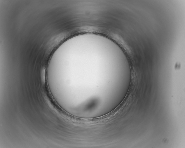 X0000091940014200709051312