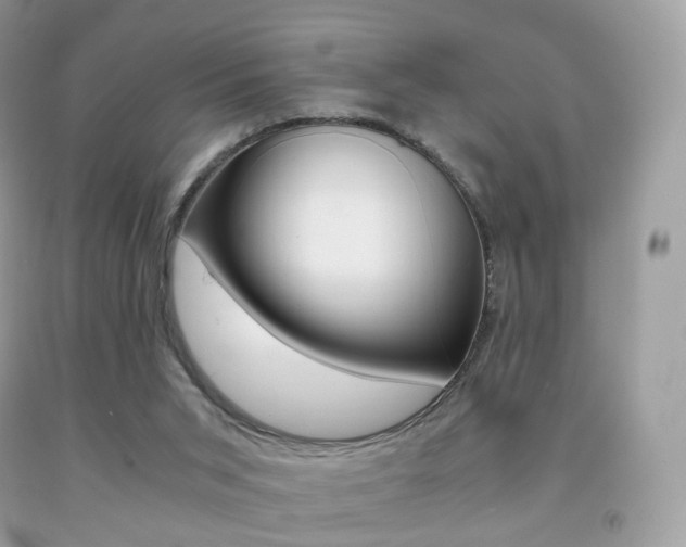 X0000091940015200709051312