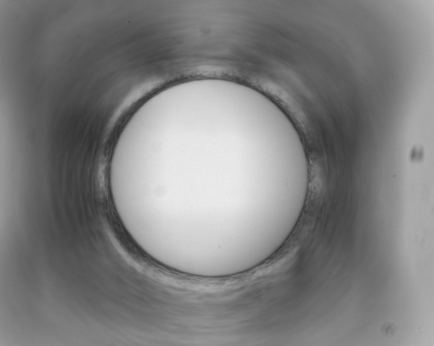 X0000091940016200709051312