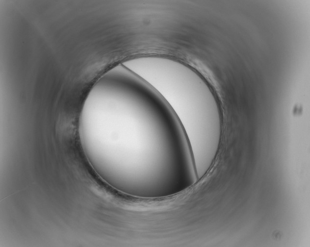 X0000091940017200709051312