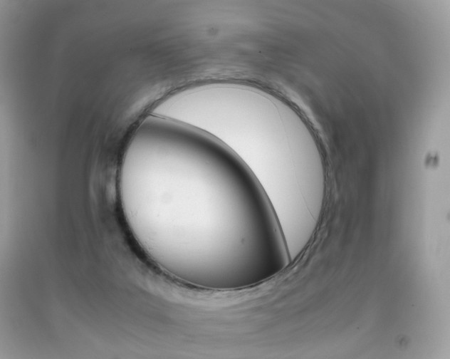 X0000091940019200709051312