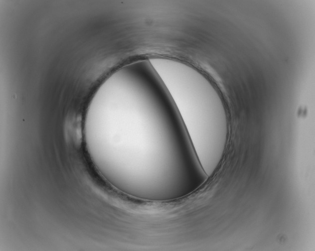 X0000091940020200709051312