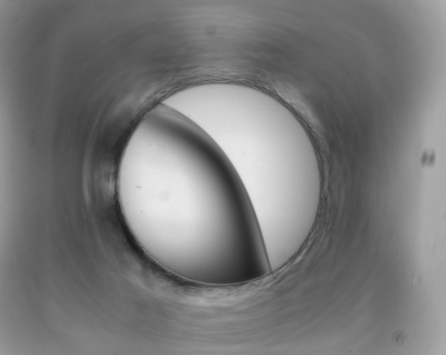 X0000091940021200709051312