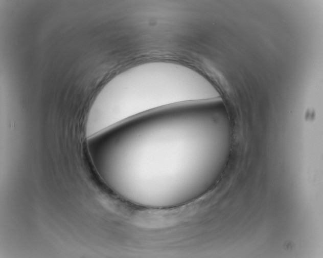 X0000091940025200709051312